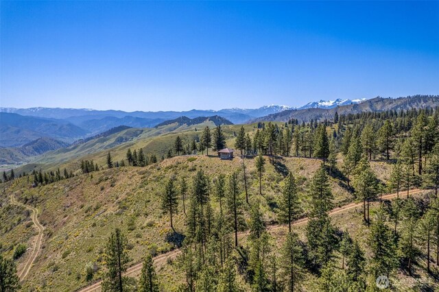 1021 Chicken Farm Ln, Cashmere, WA 98815 - photo 25
