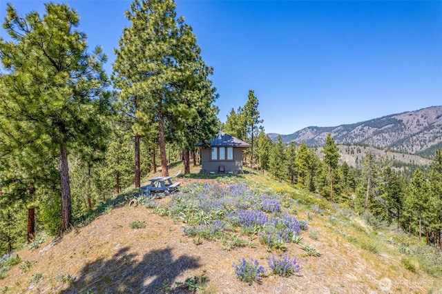 1021 Chicken Farm Ln, Cashmere, WA 98815 - photo 8