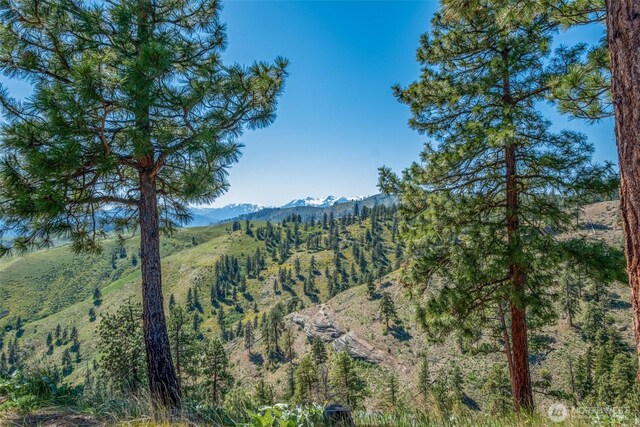 1021 Chicken Farm Ln, Cashmere, WA 98815 - photo 34