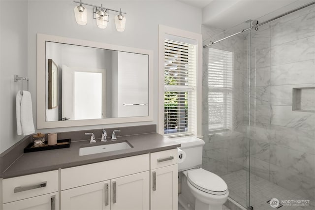 full bathroom with vanity, a shower stall, and toilet