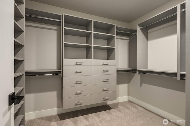 walk in closet featuring carpet flooring