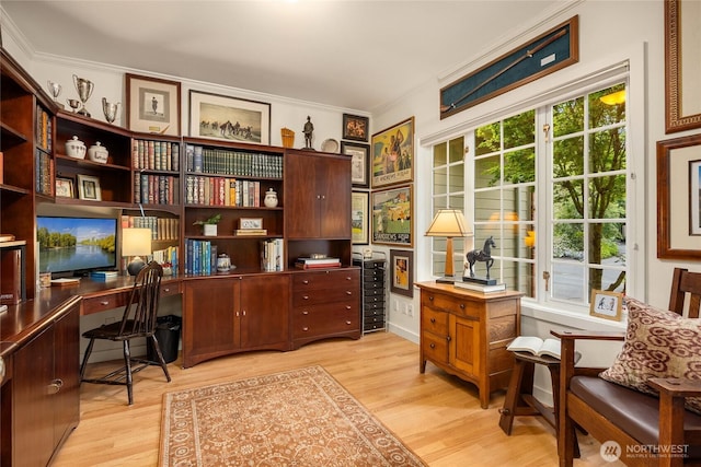 office space with ornamental molding and light wood-style flooring