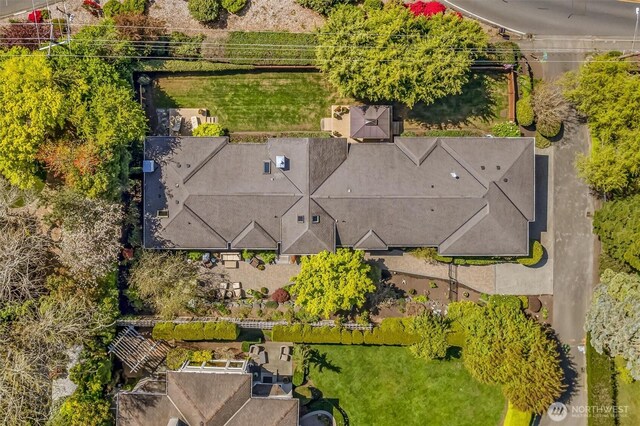 drone / aerial view