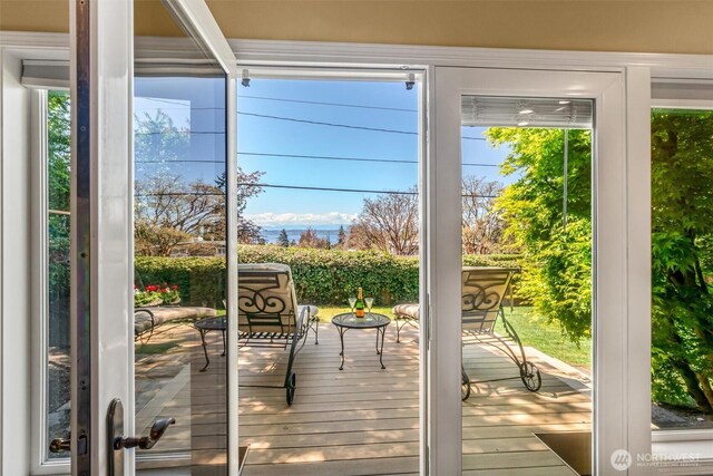 entryway with a wealth of natural light