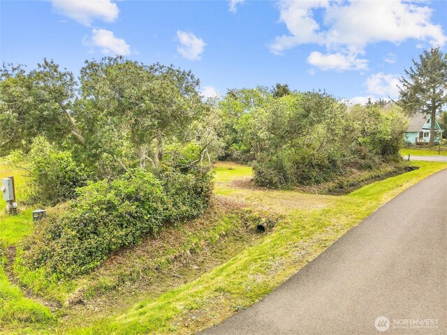 113 Jib St NW, Ocean Shores, WA 98569 - photo 13