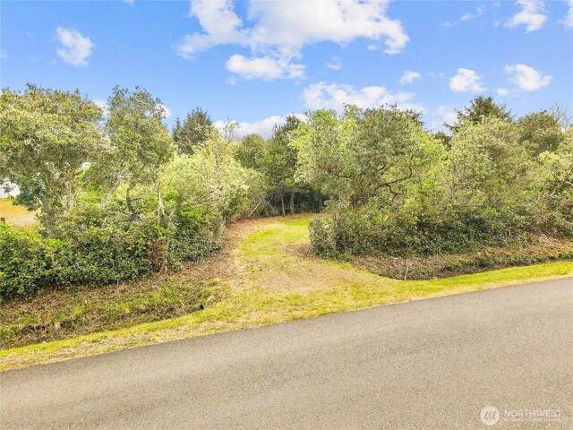 113 Jib St NW, Ocean Shores, WA 98569 - photo 14