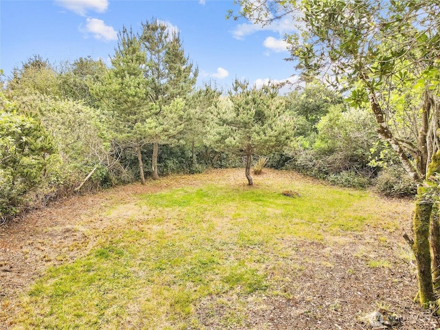 113 Jib St NW, Ocean Shores, WA 98569 - photo 15