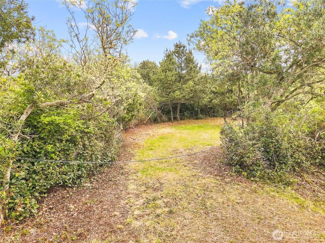 113 Jib St NW, Ocean Shores, WA 98569 - photo 16