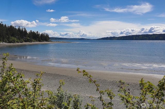 water view featuring a beach view