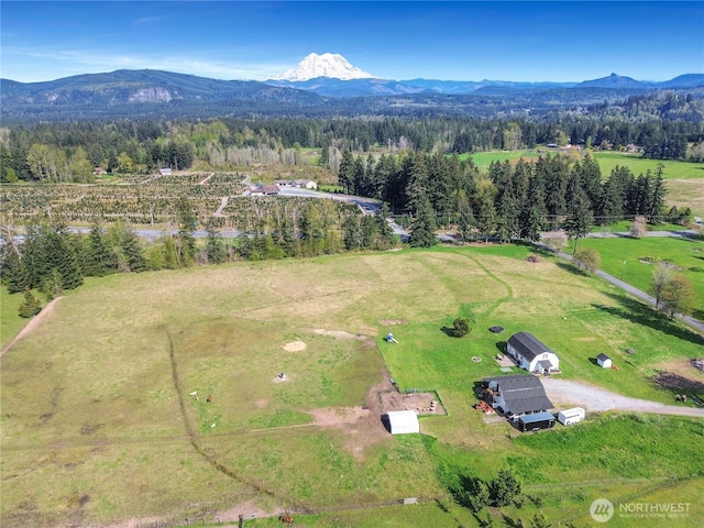 bird's eye view featuring a mountain view