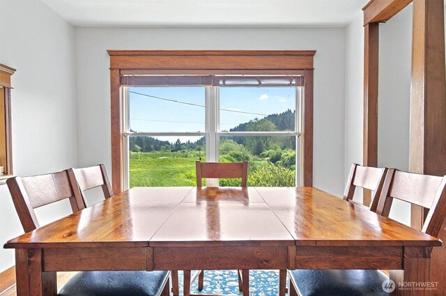 1710 W State Route 4, Skamokawa, WA 98647 - photo 8