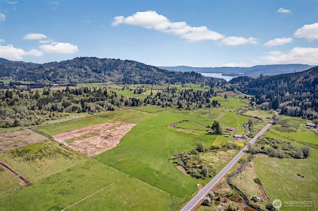 1710 W State Route 4, Skamokawa, WA 98647 - photo 35