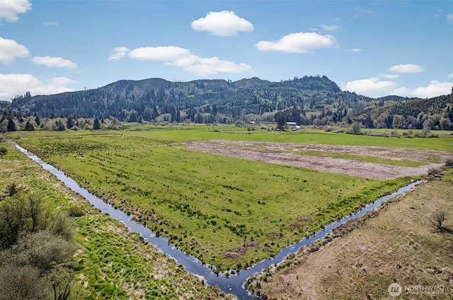 1710 W State Route 4, Skamokawa, WA 98647 - photo 36