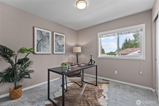 18431 Newport Dr, Arlington, WA 98223 - office area with carpet and baseboards