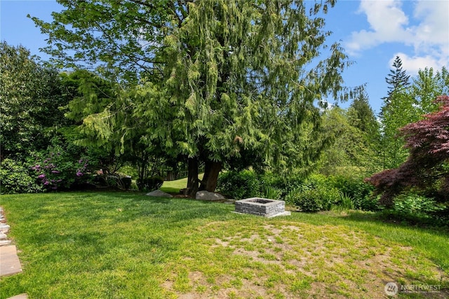 18431 Newport Dr, Arlington, WA 98223 - view of grassy yard