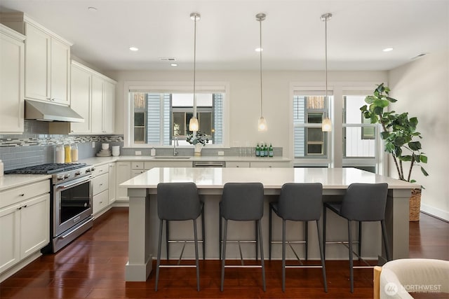 kitchen with decorative backsplash, dark wood-type flooring, under cabinet range hood, a sink, and stainless steel appliances