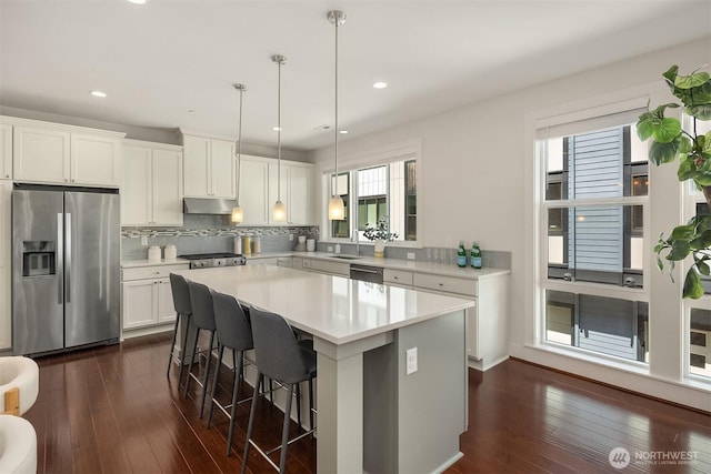 kitchen featuring under cabinet range hood, appliances with stainless steel finishes, a sink, and dark wood finished floors
