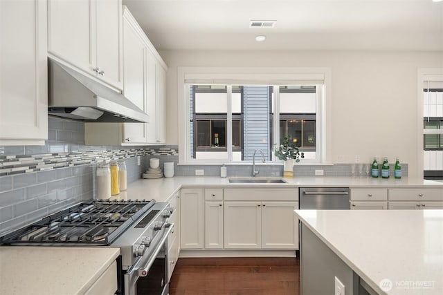 kitchen with under cabinet range hood, a sink, dark wood finished floors, backsplash, and stainless steel appliances