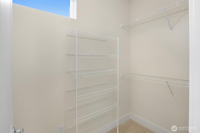 walk in closet with carpet floors