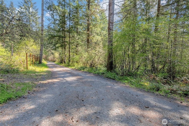 view of road featuring a wooded view