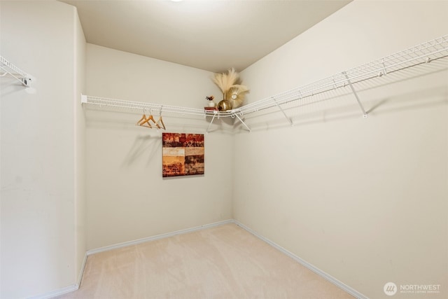 walk in closet with light colored carpet