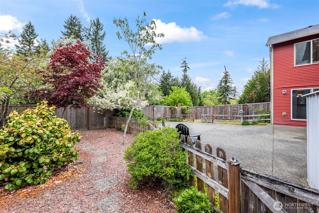 view of yard featuring a patio area and a fenced backyard