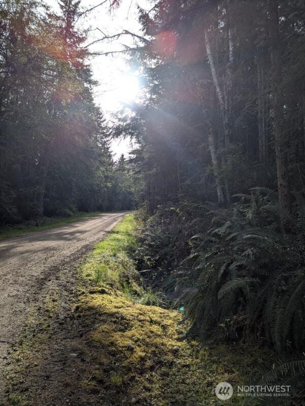 9999 Lone Tree Dr, Sequim, WA 98382