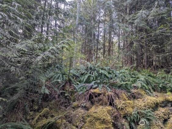 9999 Lone Tree Dr, Sequim, WA 98382
