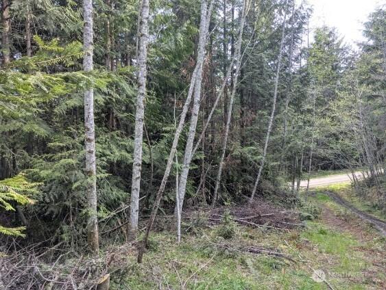 9999 Lone Tree Dr, Sequim, WA 98382
