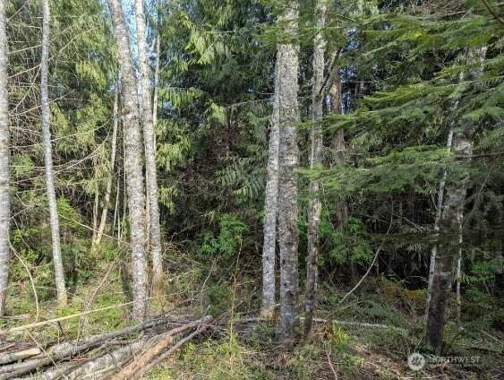 9999 Lone Tree Dr, Sequim, WA 98382