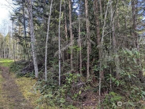 9999 Lone Tree Dr, Sequim, WA 98382
