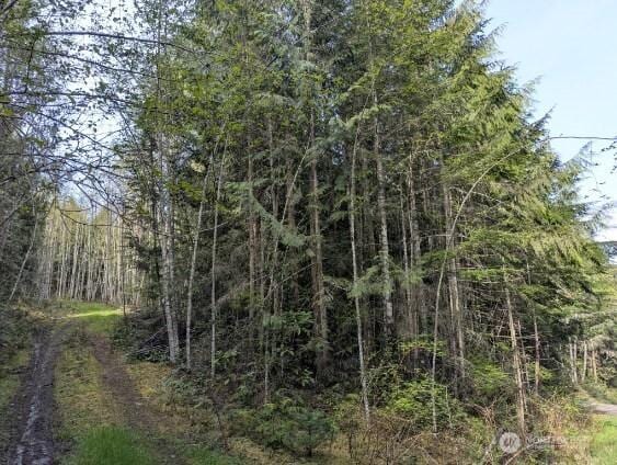 9999 Lone Tree Dr, Sequim, WA 98382
