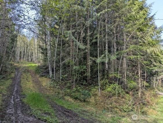 9999 Lone Tree Dr, Sequim, WA 98382