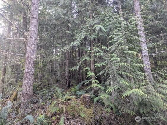 9999 Lone Tree Dr, Sequim, WA 98382