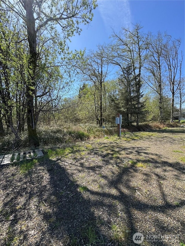 556 Duck Lake Dr NE, Ocean Shores, WA 98569 - photo 12