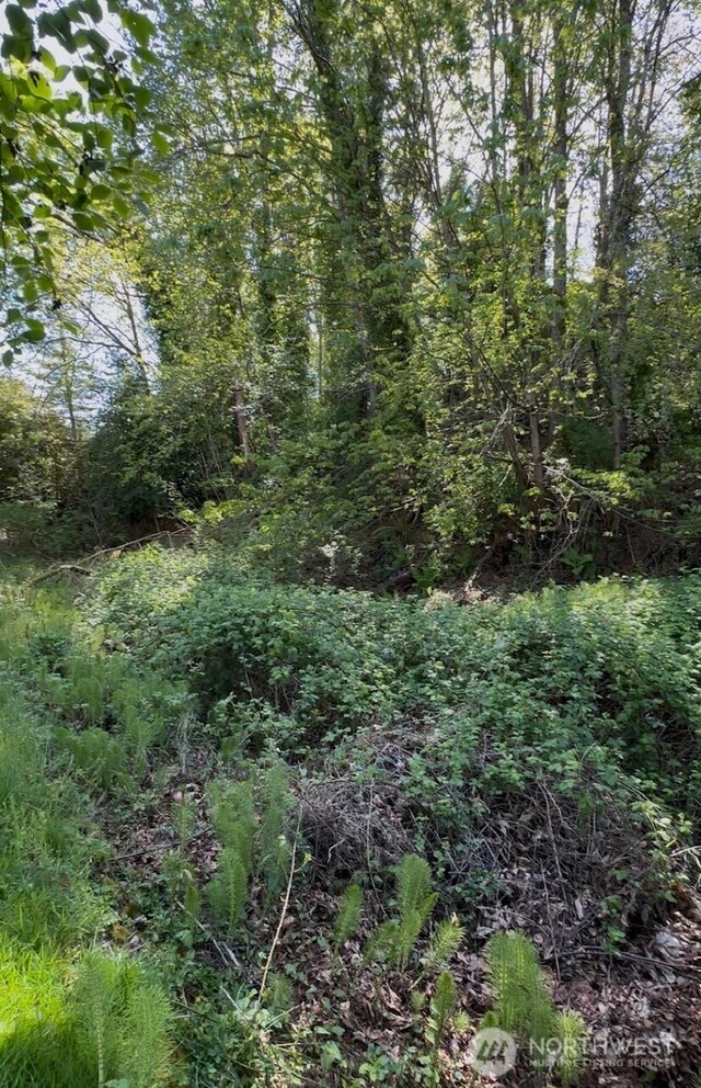 8018 19th St W, Tacoma, WA 98466 - photo 7