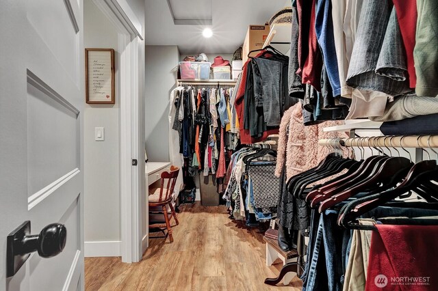 walk in closet featuring wood finished floors