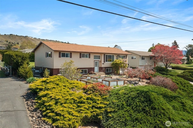 rear view of property featuring a vegetable garden