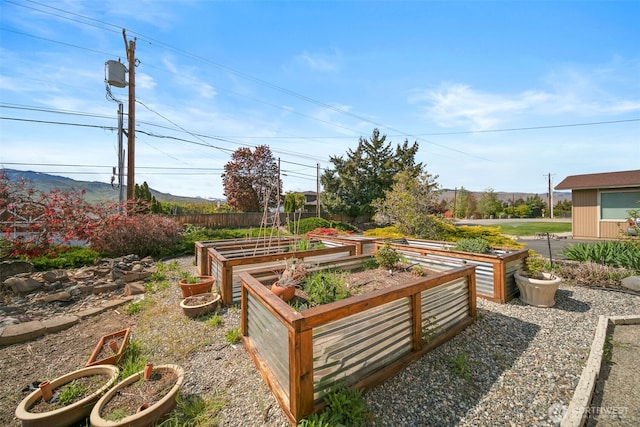view of yard featuring a mountain view and a vegetable garden