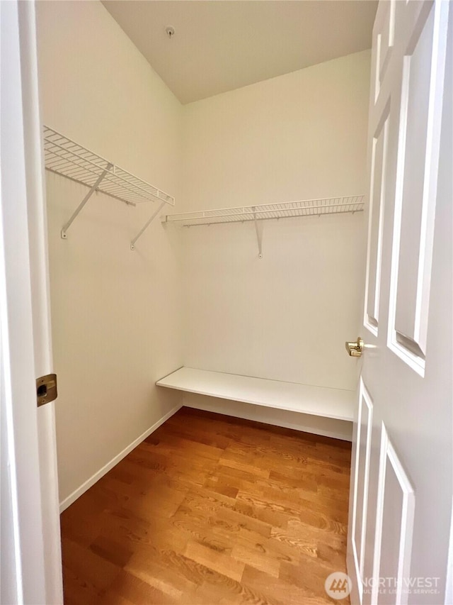 walk in closet with light wood-type flooring