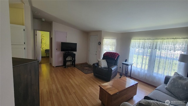 151 W Nikula Rd, Winlock, WA 98596 - living room featuring light wood-style flooring and lofted ceiling