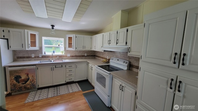 151 W Nikula Rd, Winlock, WA 98596 - kitchen with light wood finished floors, a sink, under cabinet range hood, dishwashing machine, and electric range