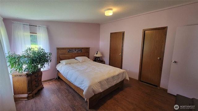 151 W Nikula Rd, Winlock, WA 98596 - bedroom featuring wood finished floors and multiple closets