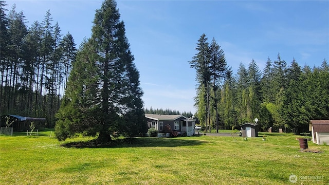 151 W Nikula Rd, Winlock, WA 98596 - view of yard featuring a shed and an outbuilding