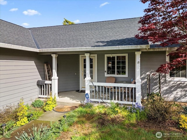 entrance to property with a porch and roof with shingles