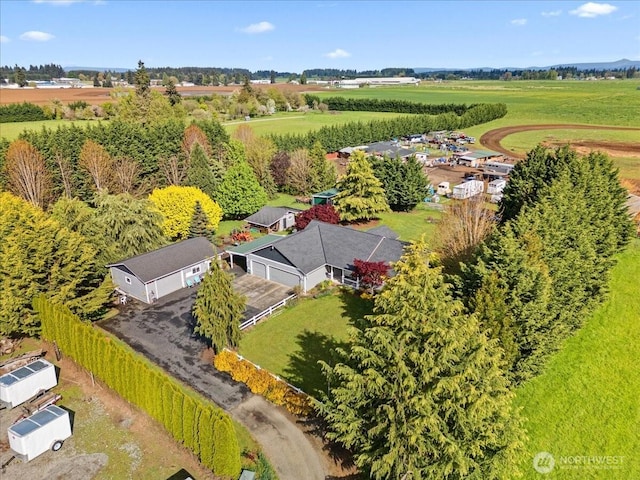 drone / aerial view