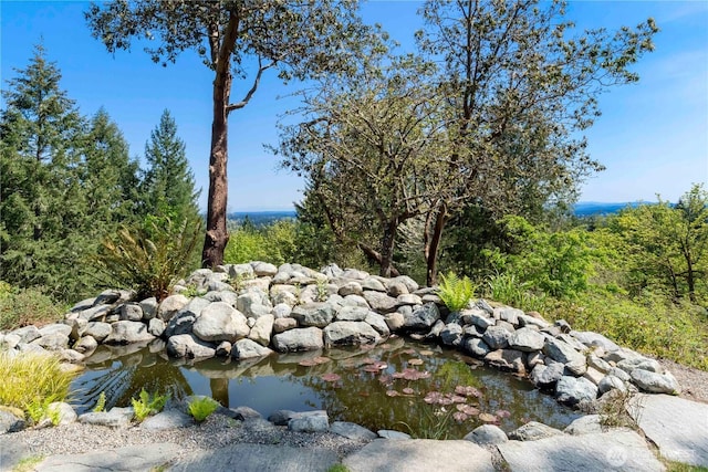 exterior space featuring a garden pond