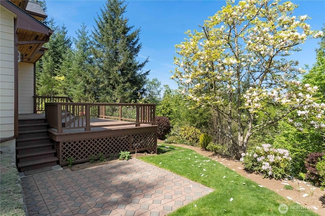 view of yard with a patio area and a deck