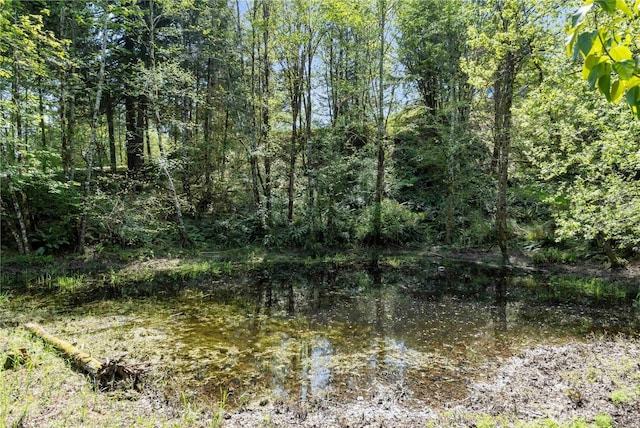 view of landscape featuring a forest view