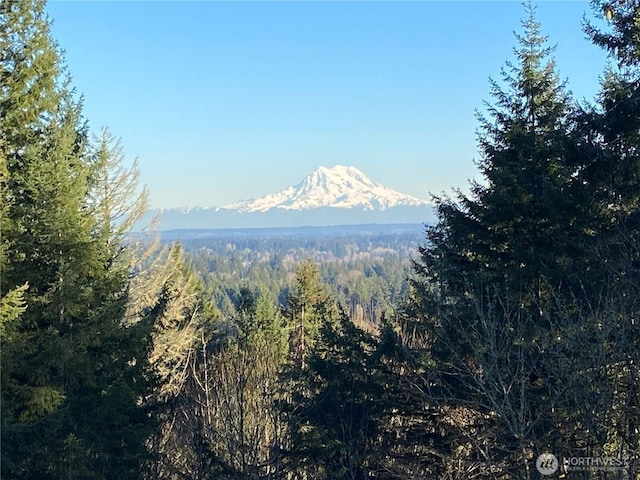 view of mountain feature featuring a forest view